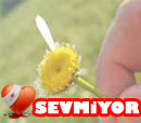 Sevmiyor 