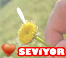 Seviyor