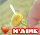 m'aime