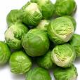 Brussel Sprouts