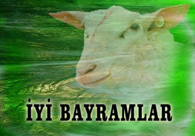 kurban bayramı
