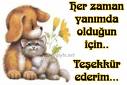 Teşekkür