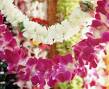 Garlands