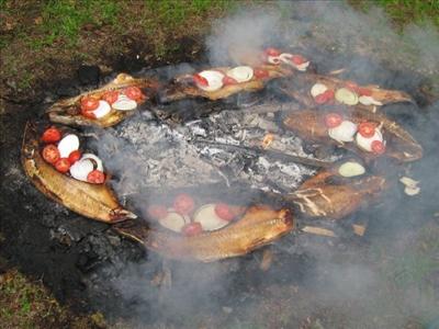 samak mazkof