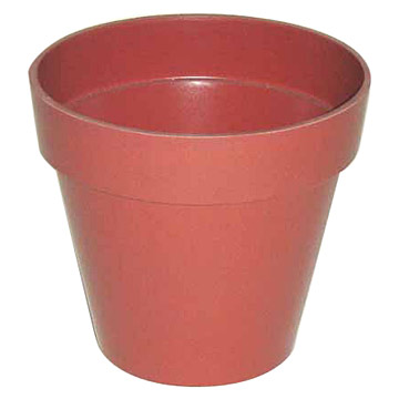 Plant Pot