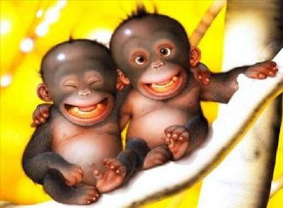 Baby Rascals