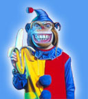 Monkey Rascal
