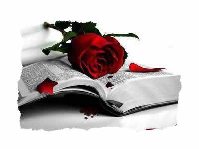 La rosa i el llibre