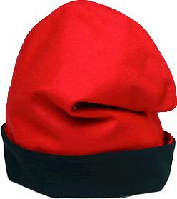 Barretina