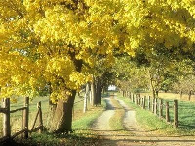 Country Road
