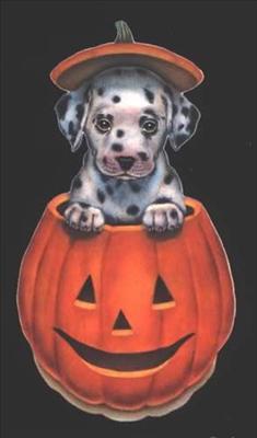 Pumpkin Puppy