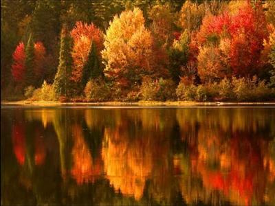 Lake Reflection