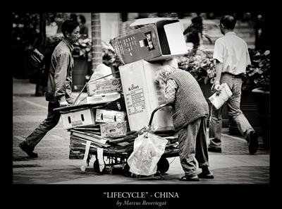Lifecycle