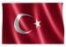 türk bayragı