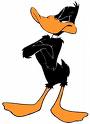daffy1