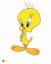 tweety1