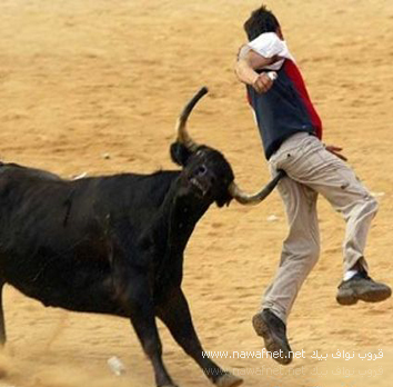 مش عايز جواز مالوش فى الكيييييك