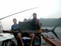 Sea fish