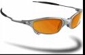 Polarized Glasses