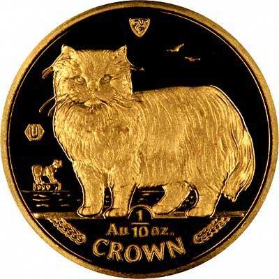 Gato de Oro