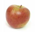 Red Apple