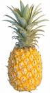 pinapple