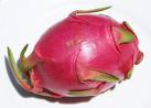 dragon fruit