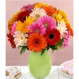 Daisy delivery-Get well soon