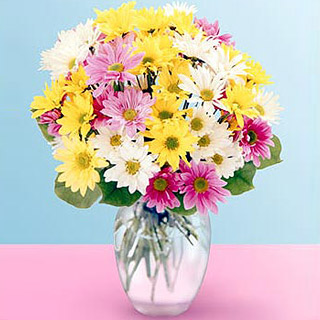Have a great day Daisy delivery