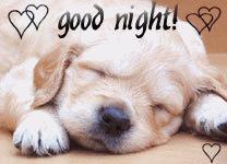 Goodnight tenero
