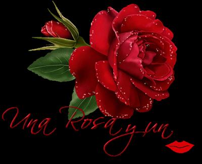 una rosa yun