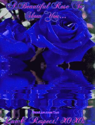 rosa blu