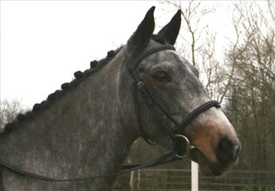 Fergal