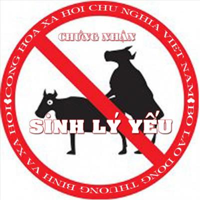 Yếu sinh lý