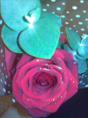 red flower