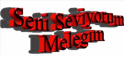 Seni Seviyorum 3