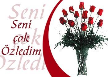 Seni Çok Özledim