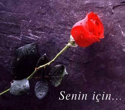Senin İçin