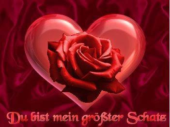 Kalp
