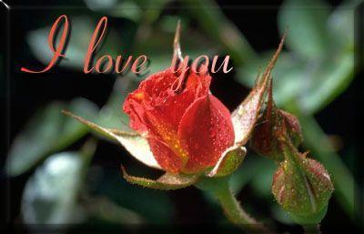 I Love You 2