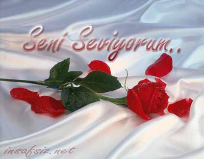 Seni Seviyorum 7