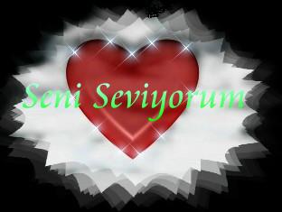 Seni Seviyorum