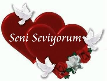 Seni Seviyorum 5
