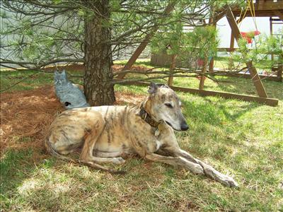Take a load off - rest in the shade.