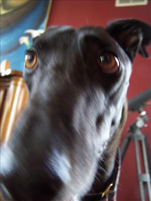 Look down our nose at someone.