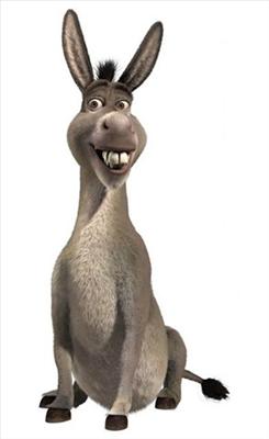 BURRO!!!