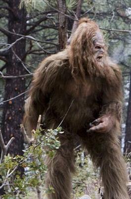 Lucky Big Foot