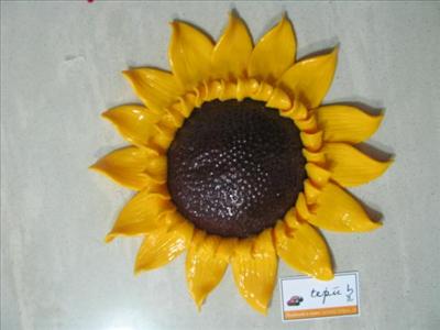 Girasole 