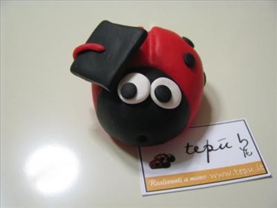 Coccinella