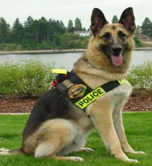 Police Dog gift